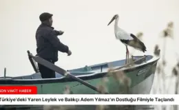 Türkiye’deki Yaren Leylek ve Balıkçı Adem Yılmaz’ın Dostluğu Filmiyle Taçlandı