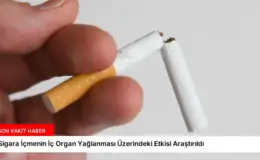 Sigara İçmenin İç Organ Yağlanması Üzerindeki Etkisi Araştırıldı