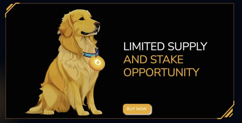 Memecoin piyasasının yeni oyuncusu Dogecoin3.0,  ön satış için dört borsayla anlaştı!