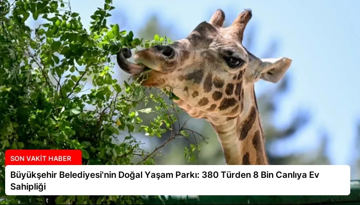 Büyükşehir Belediyesi’nin Doğal Yaşam Parkı: 380 Türden 8 Bin Canlıya Ev Sahipliği