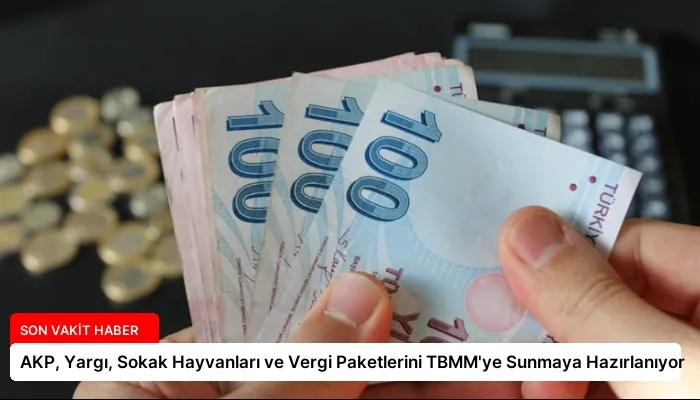 AKP, Yargı, Sokak Hayvanları ve Vergi Paketlerini TBMM’ye Sunmaya Hazırlanıyor