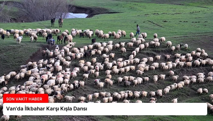Van’da İlkbahar Karşı Kışla Dansı