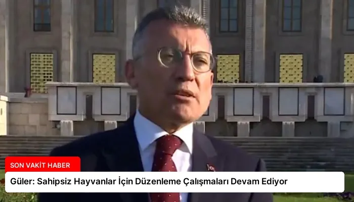 Güler: Sahipsiz Hayvanlar İçin Düzenleme Çalışmaları Devam Ediyor