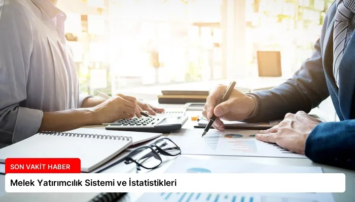 Melek Yatırımcılık Sistemi ve İstatistikleri
