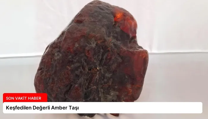 Keşfedilen Değerli Amber Taşı