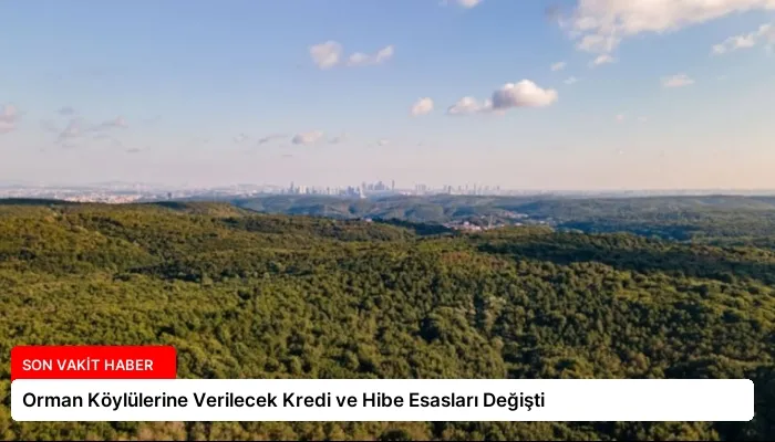 Orman Köylülerine Verilecek Kredi ve Hibe Esasları Değişti