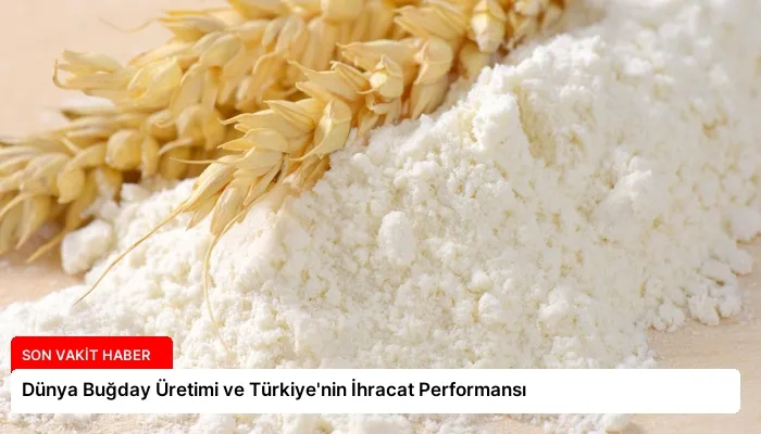 Dünya Buğday Üretimi ve Türkiye’nin İhracat Performansı