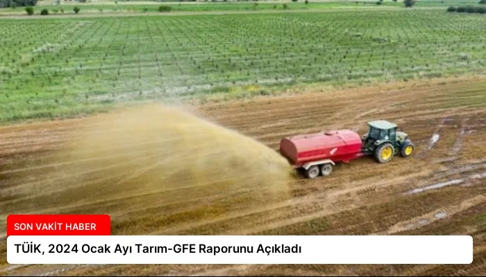 TÜİK, 2024 Ocak Ayı Tarım-GFE Raporunu Açıkladı