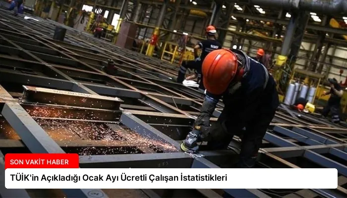 TÜİK’in Açıkladığı Ocak Ayı Ücretli Çalışan İstatistikleri