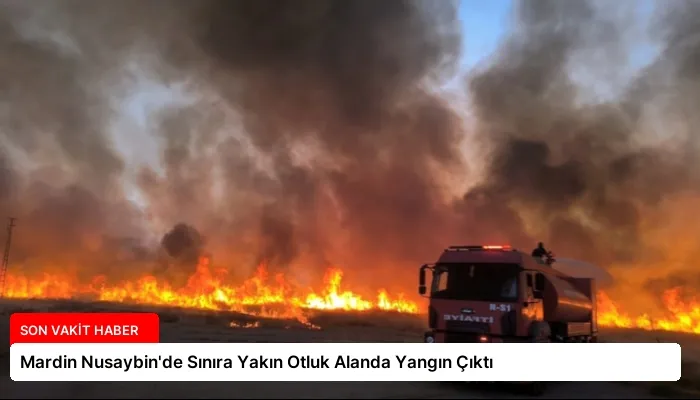 Mardin Nusaybin’de Sınıra Yakın Otluk Alanda Yangın Çıktı