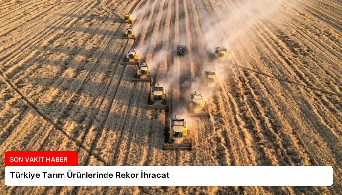 Türkiye Tarım Ürünlerinde Rekor İhracat