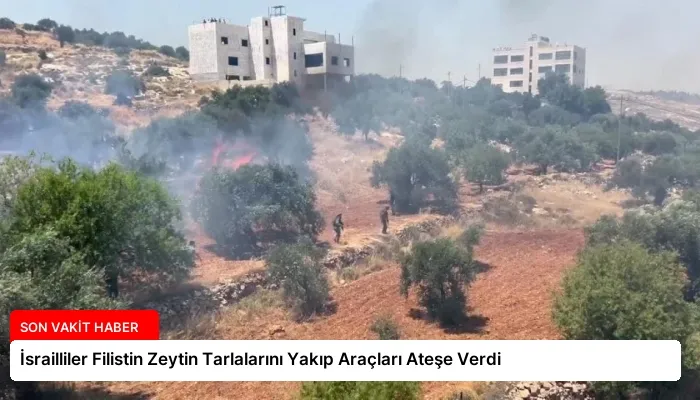 İsrailliler Filistin Zeytin Tarlalarını Yakıp Araçları Ateşe Verdi