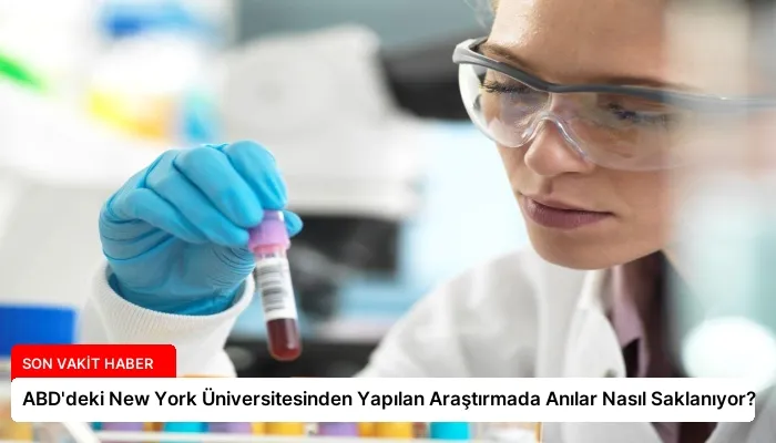 ABD’deki New York Üniversitesinden Yapılan Araştırmada Anılar Nasıl Saklanıyor?