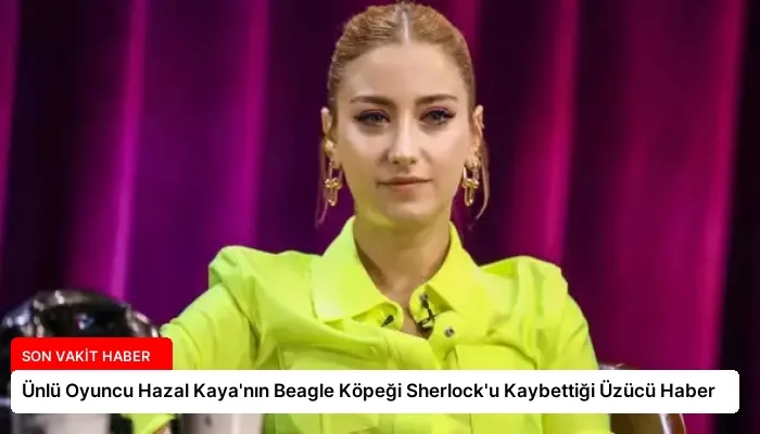 Ünlü Oyuncu Hazal Kaya’nın Beagle Köpeği Sherlock’u Kaybettiği Üzücü Haber