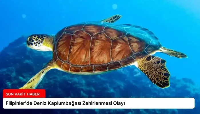Filipinler’de Deniz Kaplumbağası Zehirlenmesi Olayı