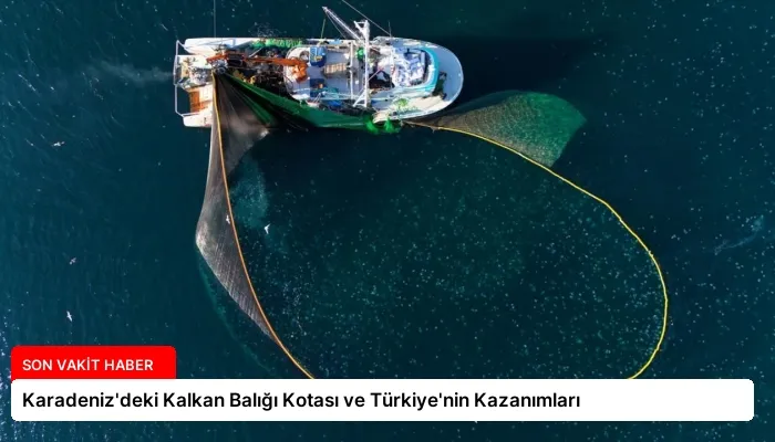 Karadeniz’deki Kalkan Balığı Kotası ve Türkiye’nin Kazanımları