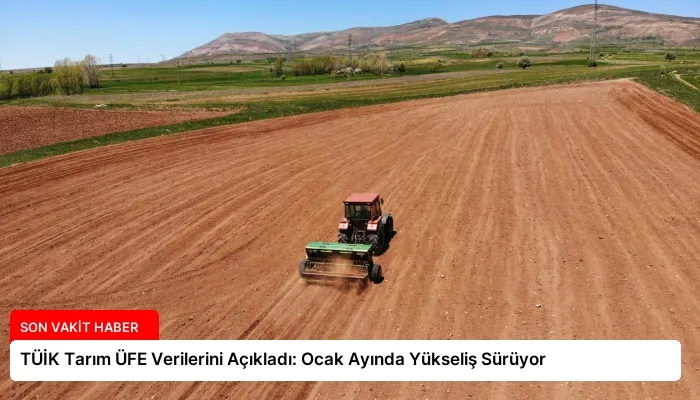 TÜİK Tarım ÜFE Verilerini Açıkladı: Ocak Ayında Yükseliş Sürüyor