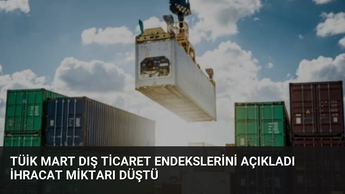 TÜİK Mart Dış Ticaret Endekslerini Açıkladı İhracat Miktarı Düştü