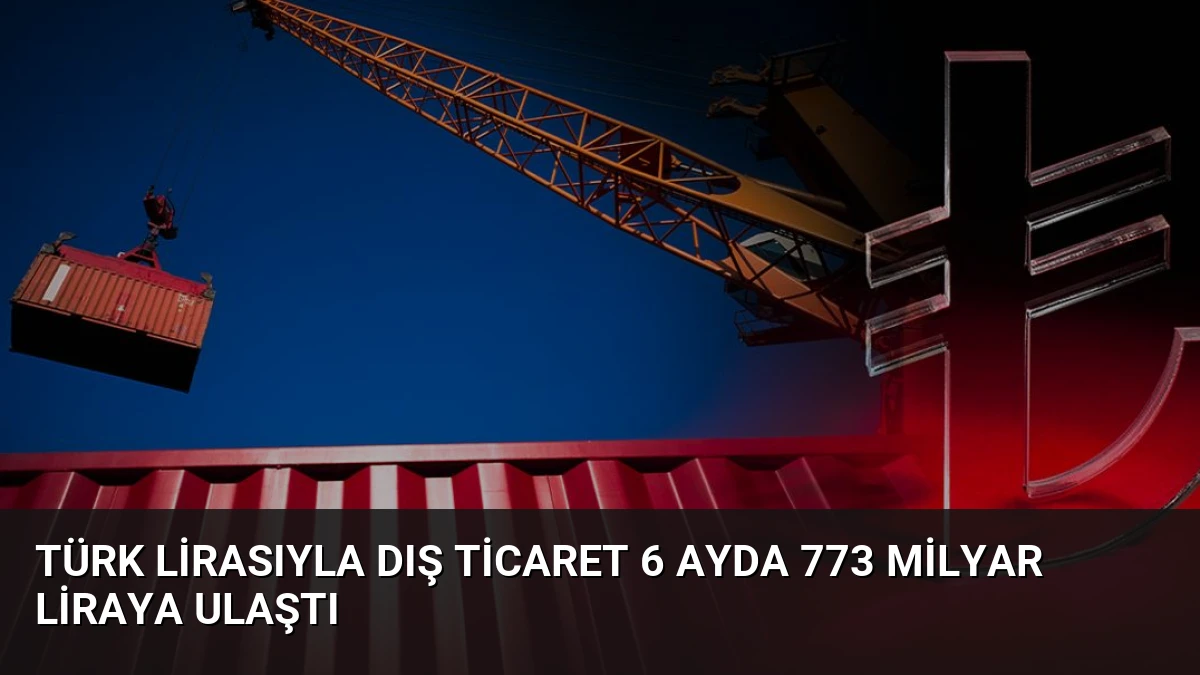 Türk Lirasıyla Dış Ticaret 6 Ayda 773 Milyar Liraya Ulaştı
