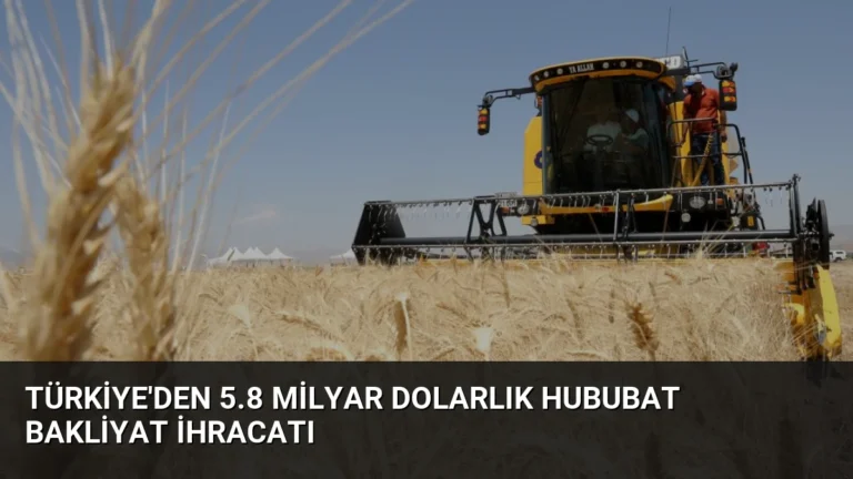 Türkiye’den 5.8 Milyar Dolarlık Hububat Bakliyat İhracatı