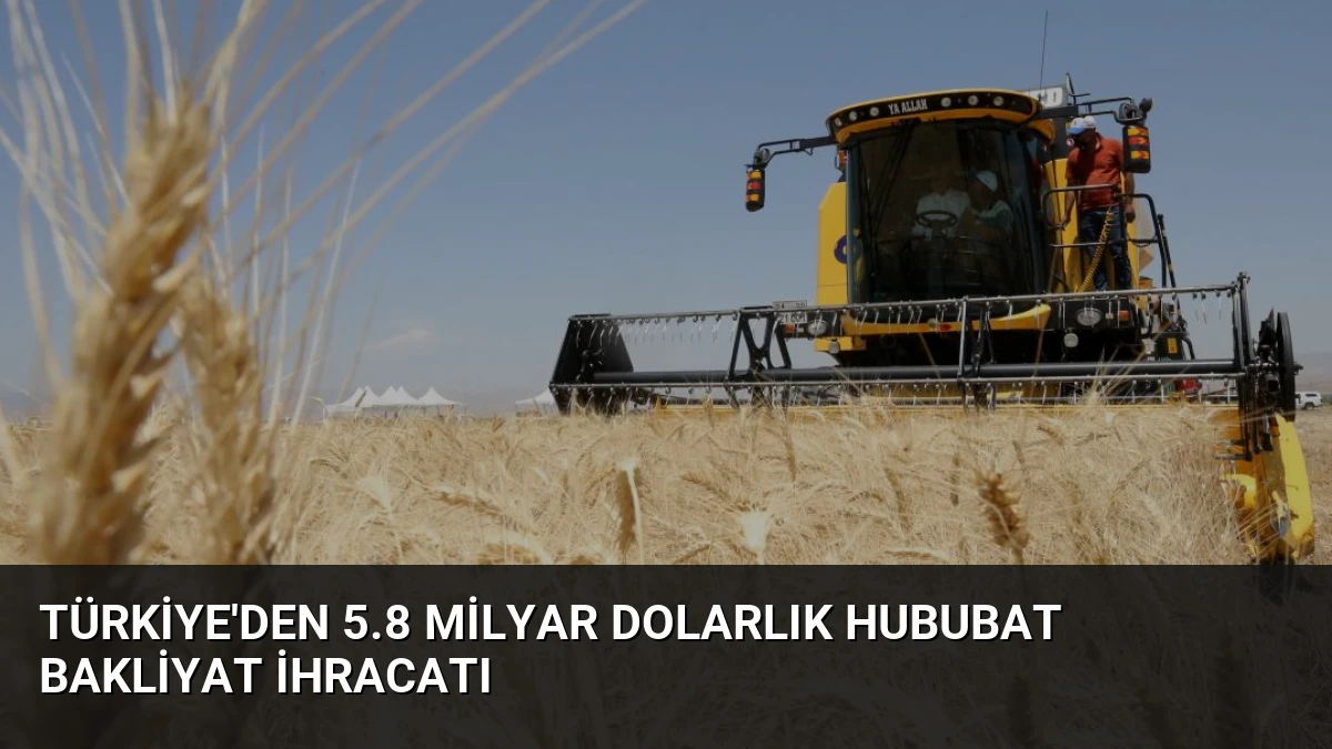 Türkiye’den 5.8 Milyar Dolarlık Hububat Bakliyat İhracatı