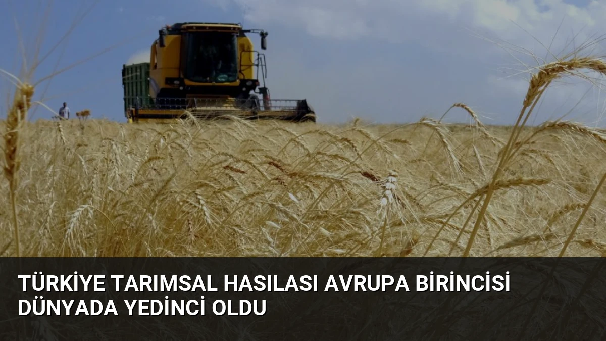 Türkiye Tarımsal Hasılası Avrupa Birincisi Dünyada Yedinci Oldu