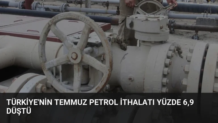 Türkiye’nin Temmuz Petrol İthalatı Yüzde 6,9 Düştü