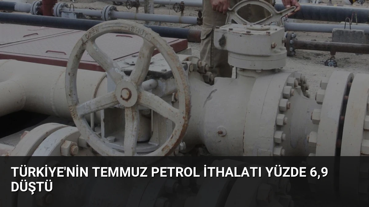 Türkiye’nin Temmuz Petrol İthalatı Yüzde 6,9 Düştü