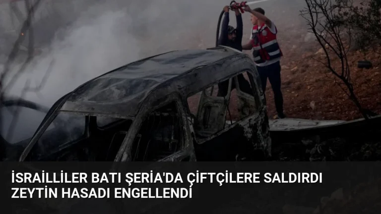 İsrailliler Batı Şeria’da Çiftçilere Saldırdı Zeytin Hasadı Engellendi