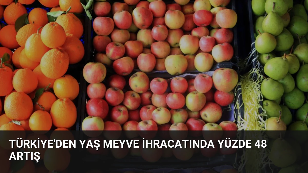 Türkiye’den Yaş Meyve İhracatında Yüzde 48 Artış